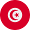 Tunisia flag